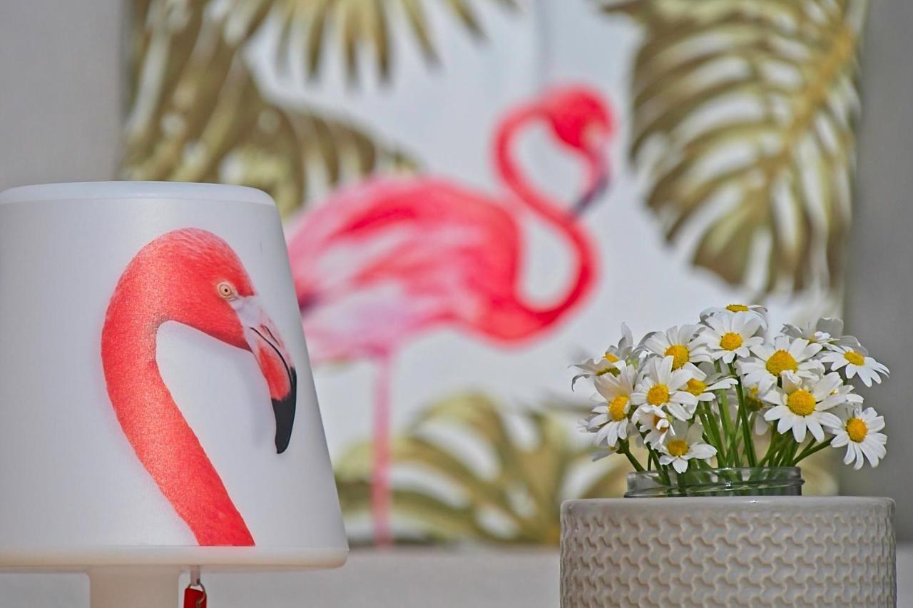 Villa Flamingo Kaštelir Exteriör bild